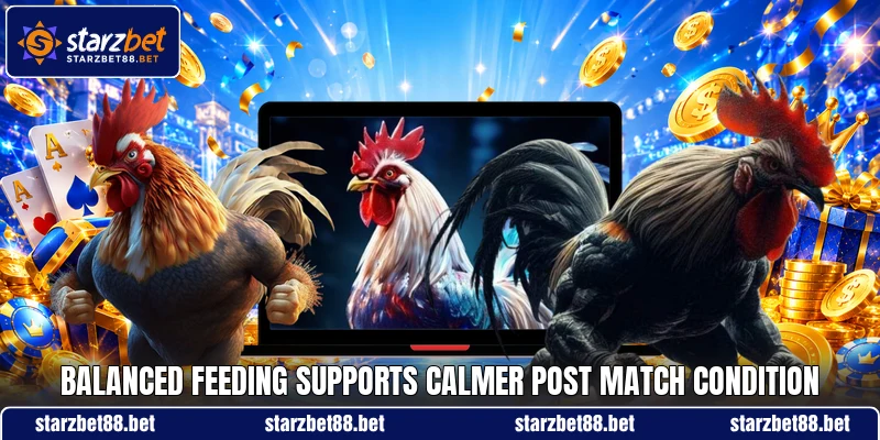 Balanced feeding supports calmer post match condition Balanced feeding supports calmer post match condition