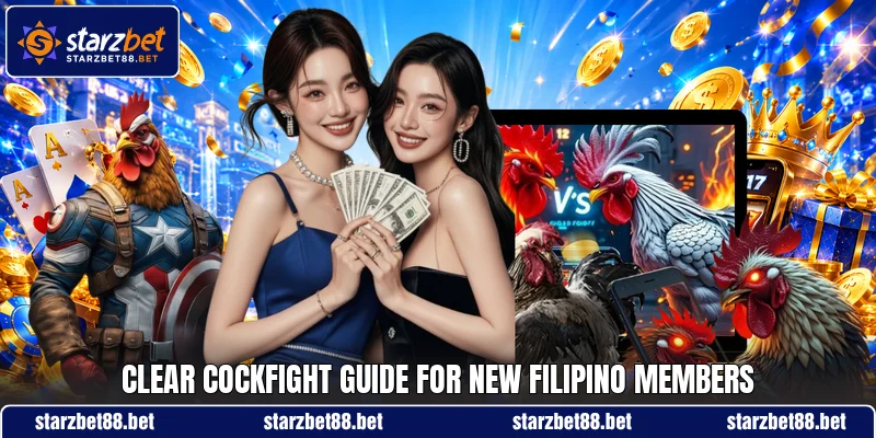 Clear cockfight guide for new Filipino members Clear cockfight guide for new Filipino members