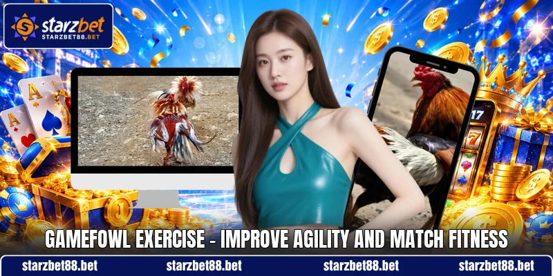 Gamefowl Exercise - Improve Agility And Match Fitness