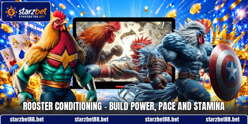 Rooster Conditioning - Build Power, Pace And Stamina